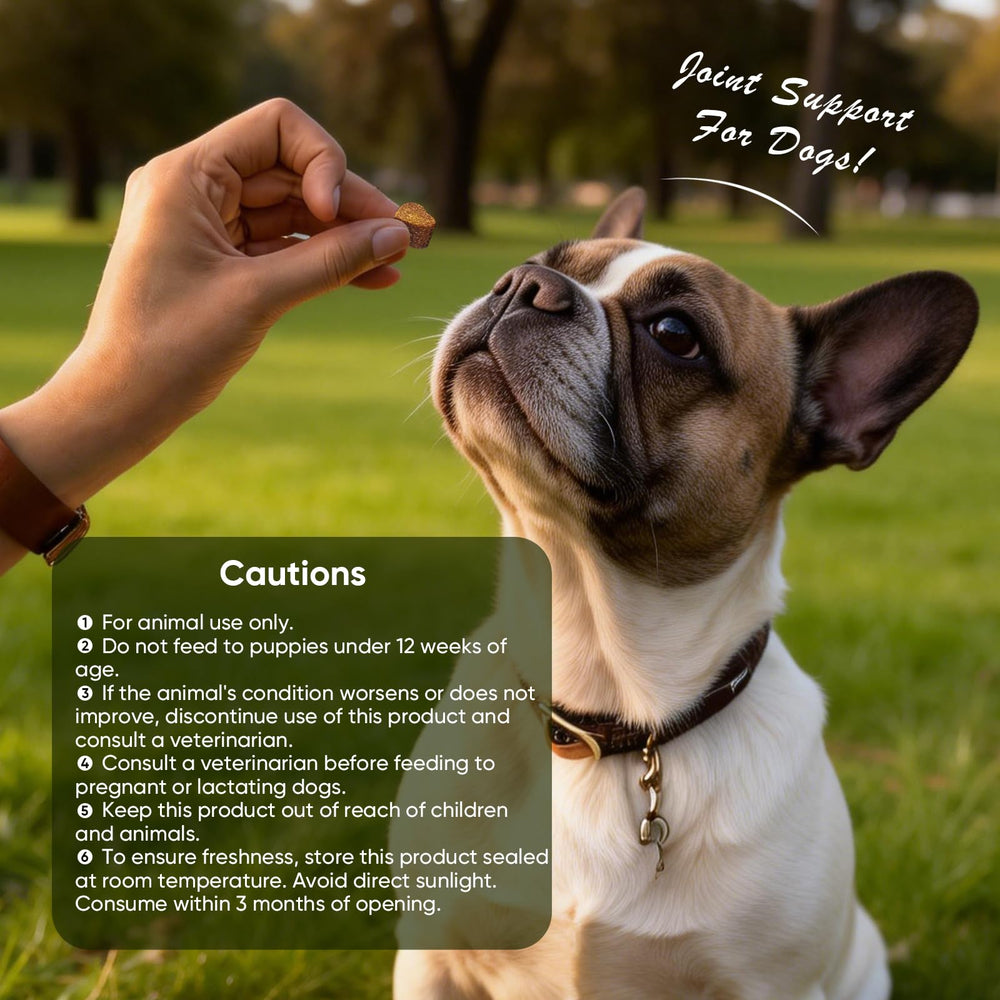 TTLXRL Glucosamine for Dogs daily-use joint chews for dogs support long-term comfort.