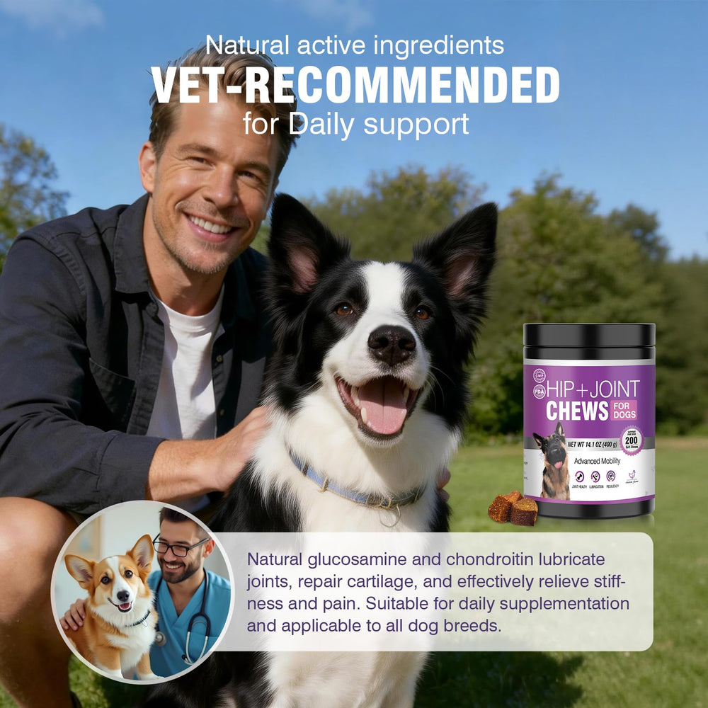TTLXRL Glucosamine for Dogs dog walking scene suggests improved mobility and activity.