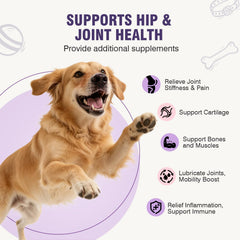 TTLXRL Glucosamine for Dogs chews close-up shows chicken flavor for tasty daily joint support.