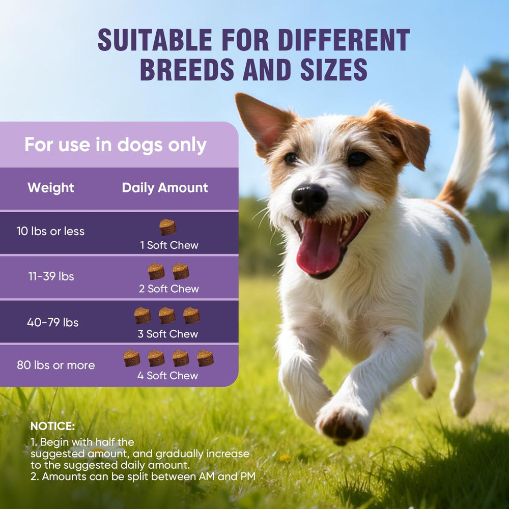 TTLXRL grain-free dog supplement suitable for sensitive dogs