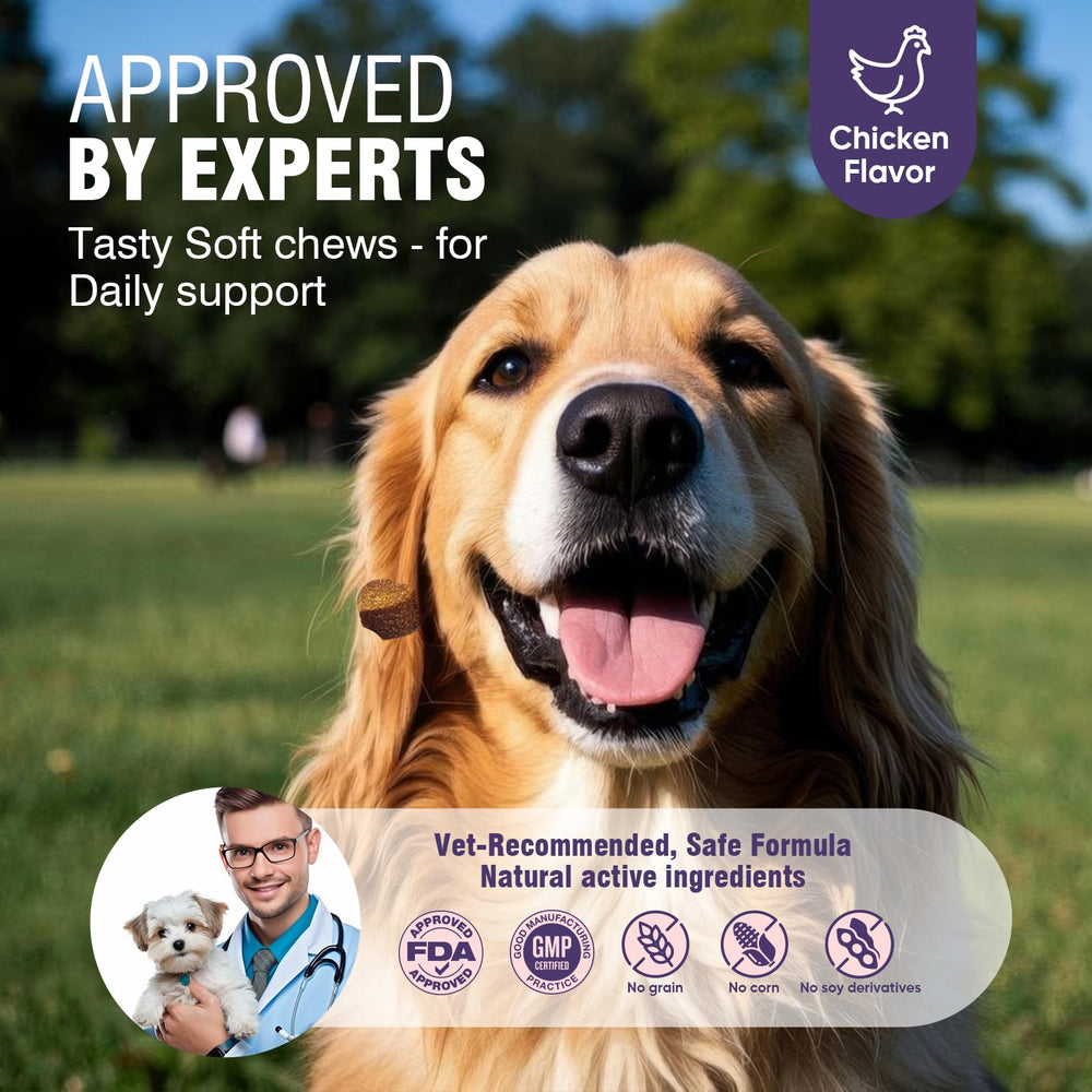 TTLXRL vitamin C for immune support and dog vitality