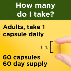 Turmeric roots and capsules illustrating natural spice origin and wholesome supplement.