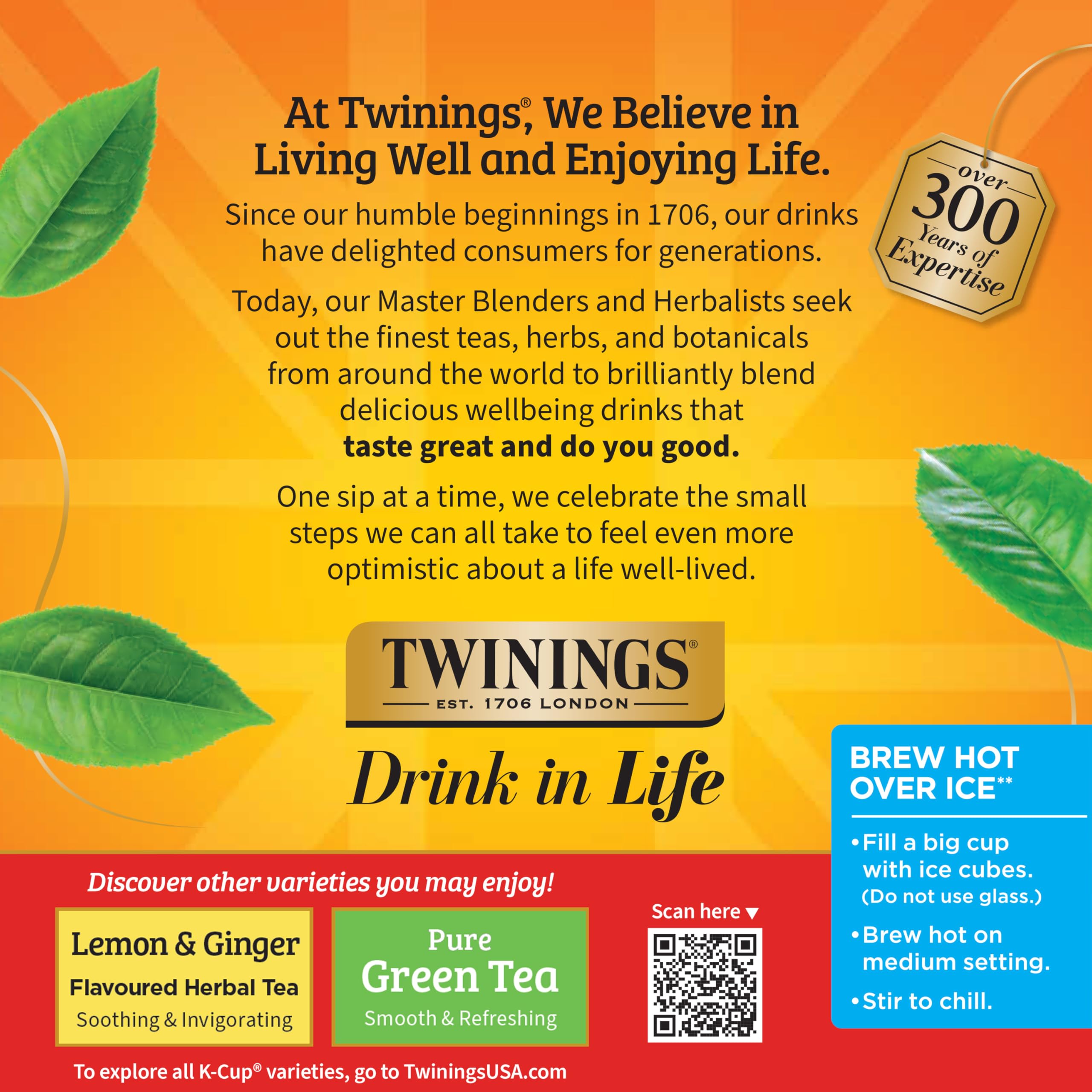 Twinings Decaffeinated English Breakfast pods ready for an iced tea moment.