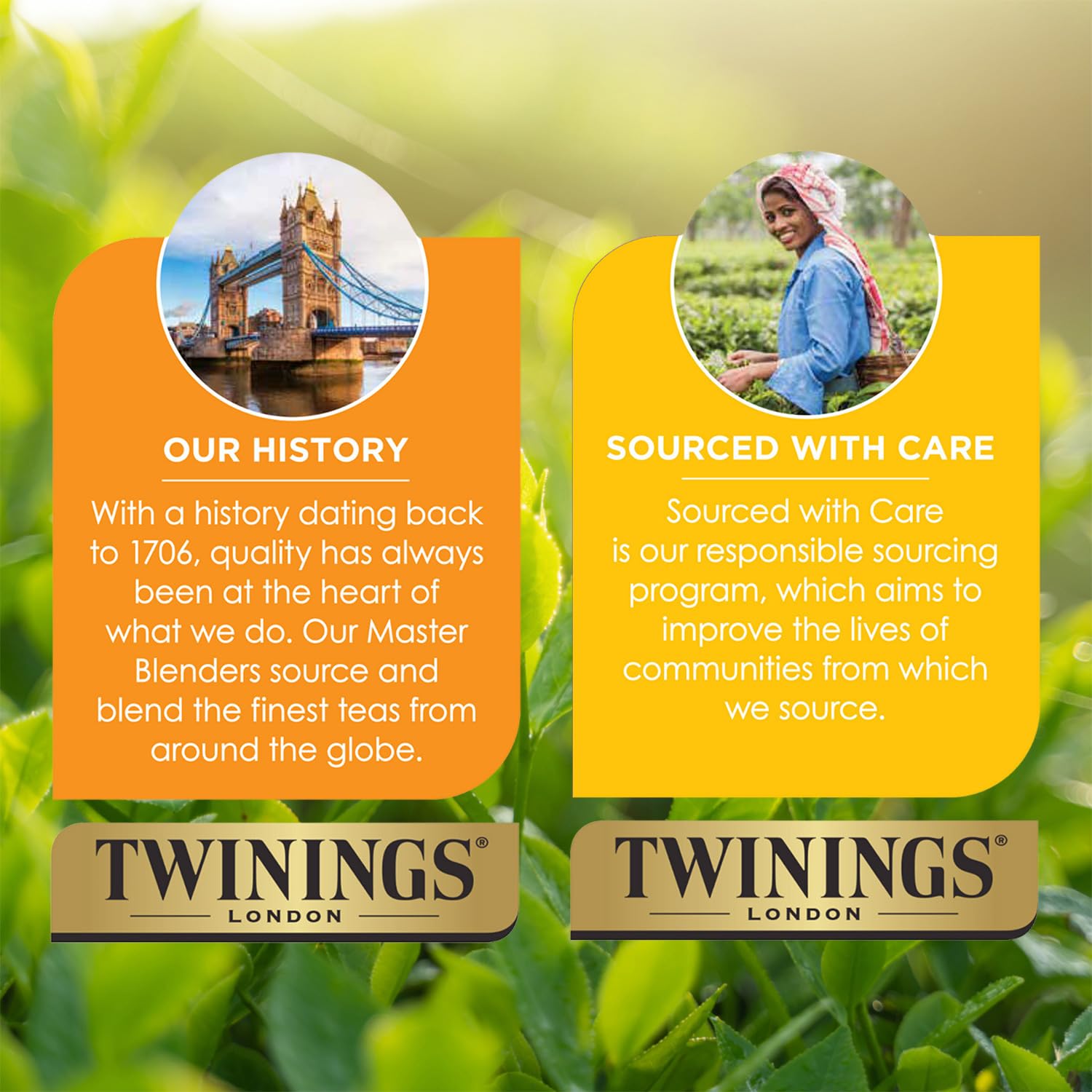 Twinings Pure Camomile caffeine-free tea, a convenient option for late evenings.