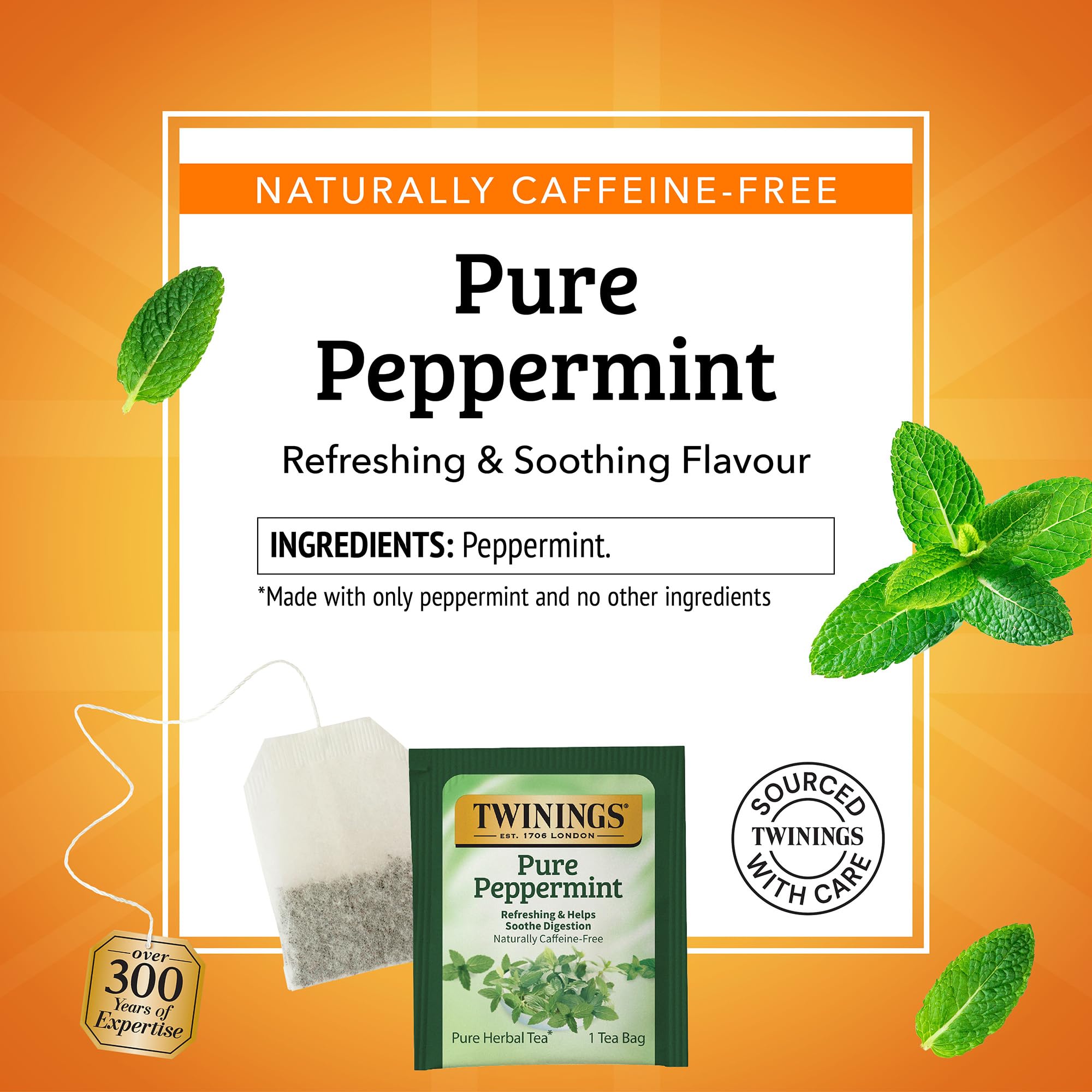 Twinings Pure Peppermint tea with individually wrapped bags layout