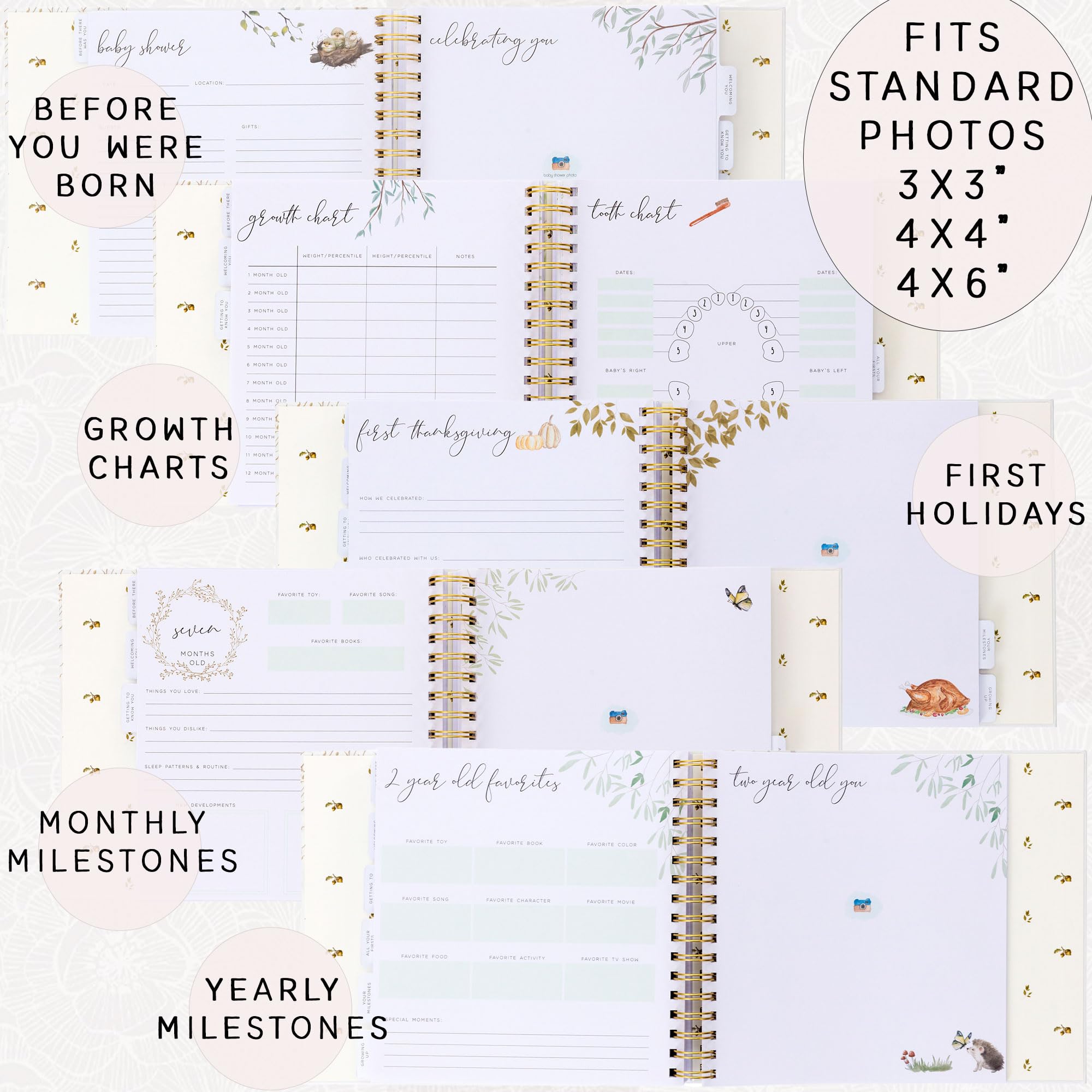 Two Little Dinos six dividers organize memories by age and theme.