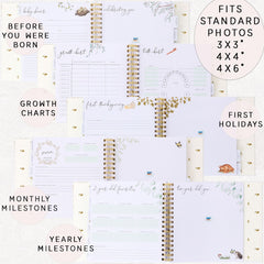 Two Little Dinos six dividers organize memories by age and theme.