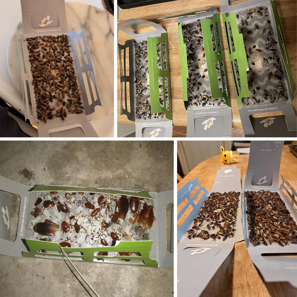 Tysonir roach traps indoor placed in kitchen corner for quick cockroach capture.