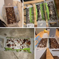 Tysonir roach traps indoor placed in kitchen corner for quick cockroach capture.
