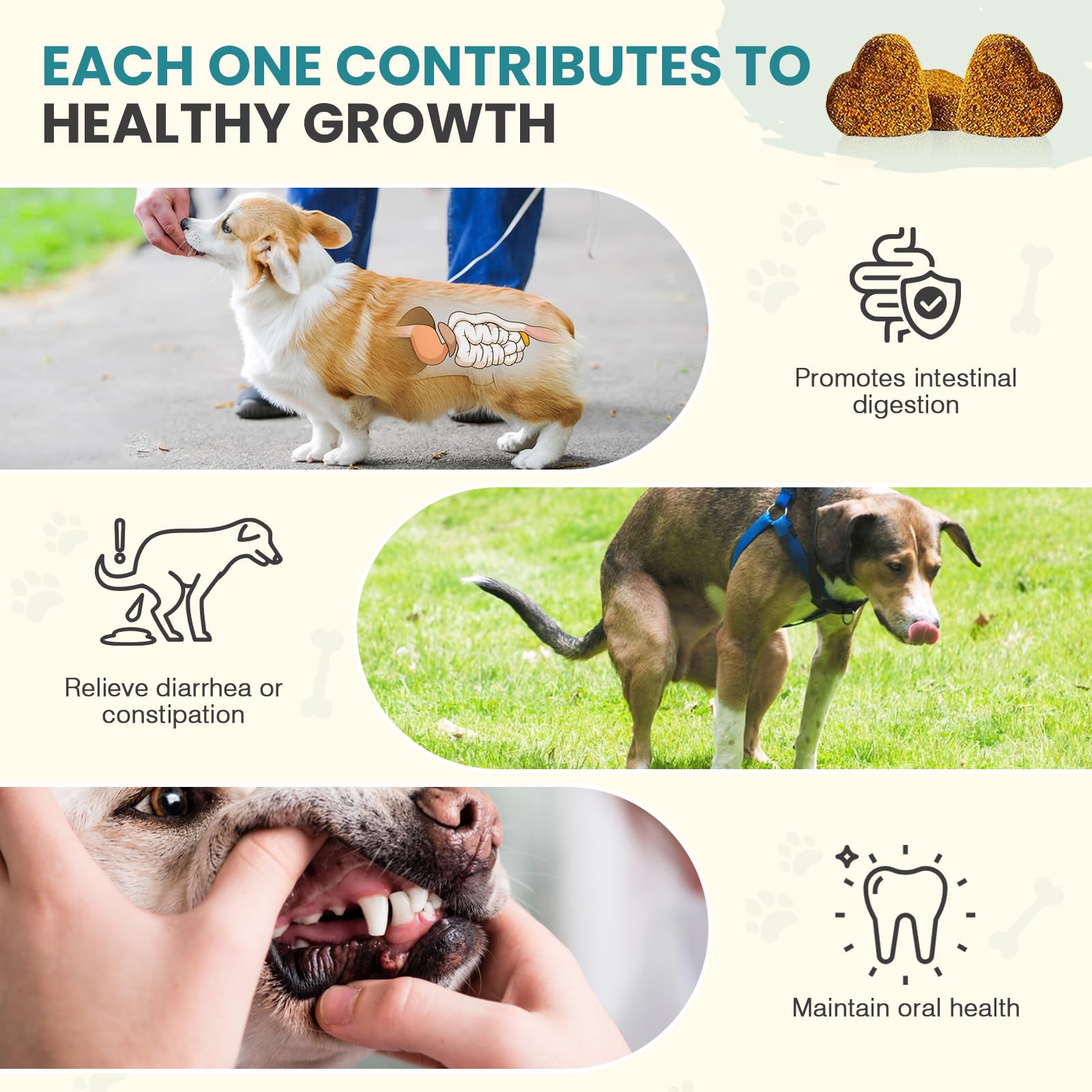 TzzyiC dog probiotics chews closeup, convenient gut support for active dogs.