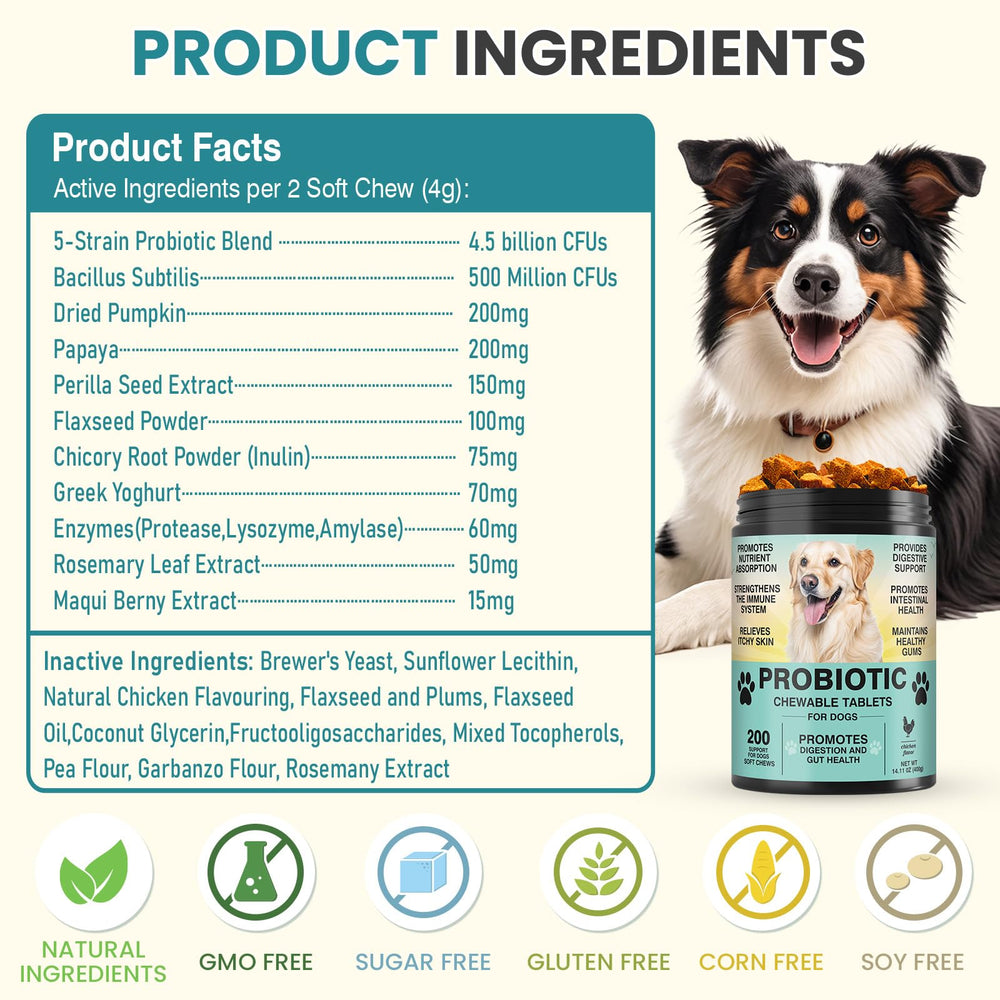 TzzyiC dogs-packshot probiotics conveys convenient daily treat.
