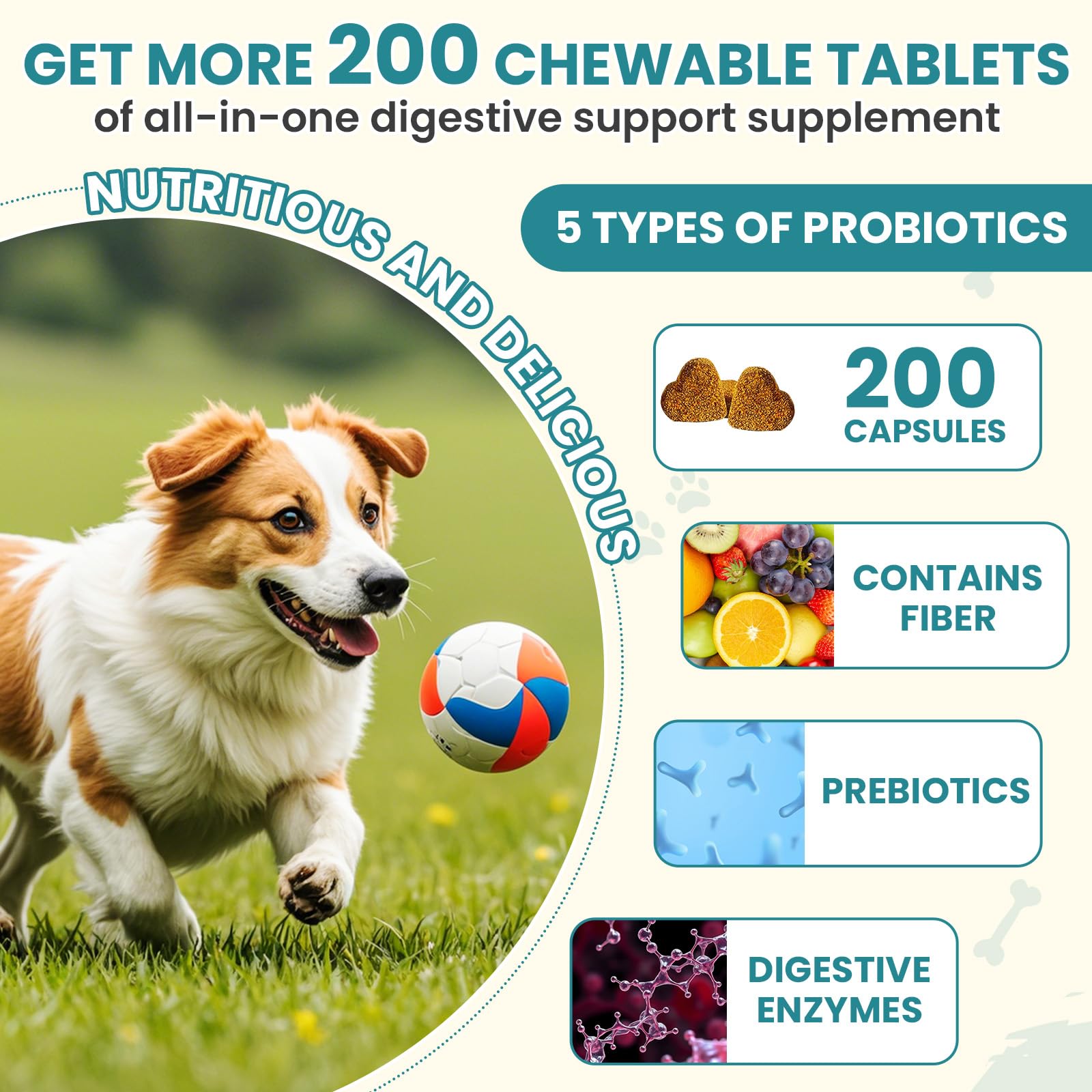 TzzyiC probiotics dogs ingredients label highlights inulin, papaya and pumpkin.