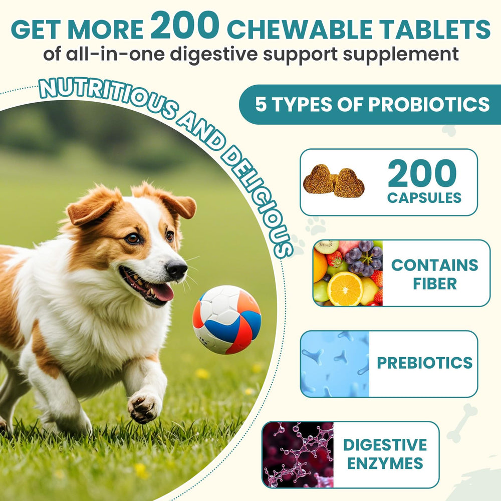 TzzyiC probiotics dogs ingredients label highlights inulin, papaya and pumpkin.