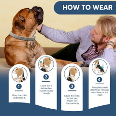 Pack of two UDyoude flea collars for dogs in box packaging.