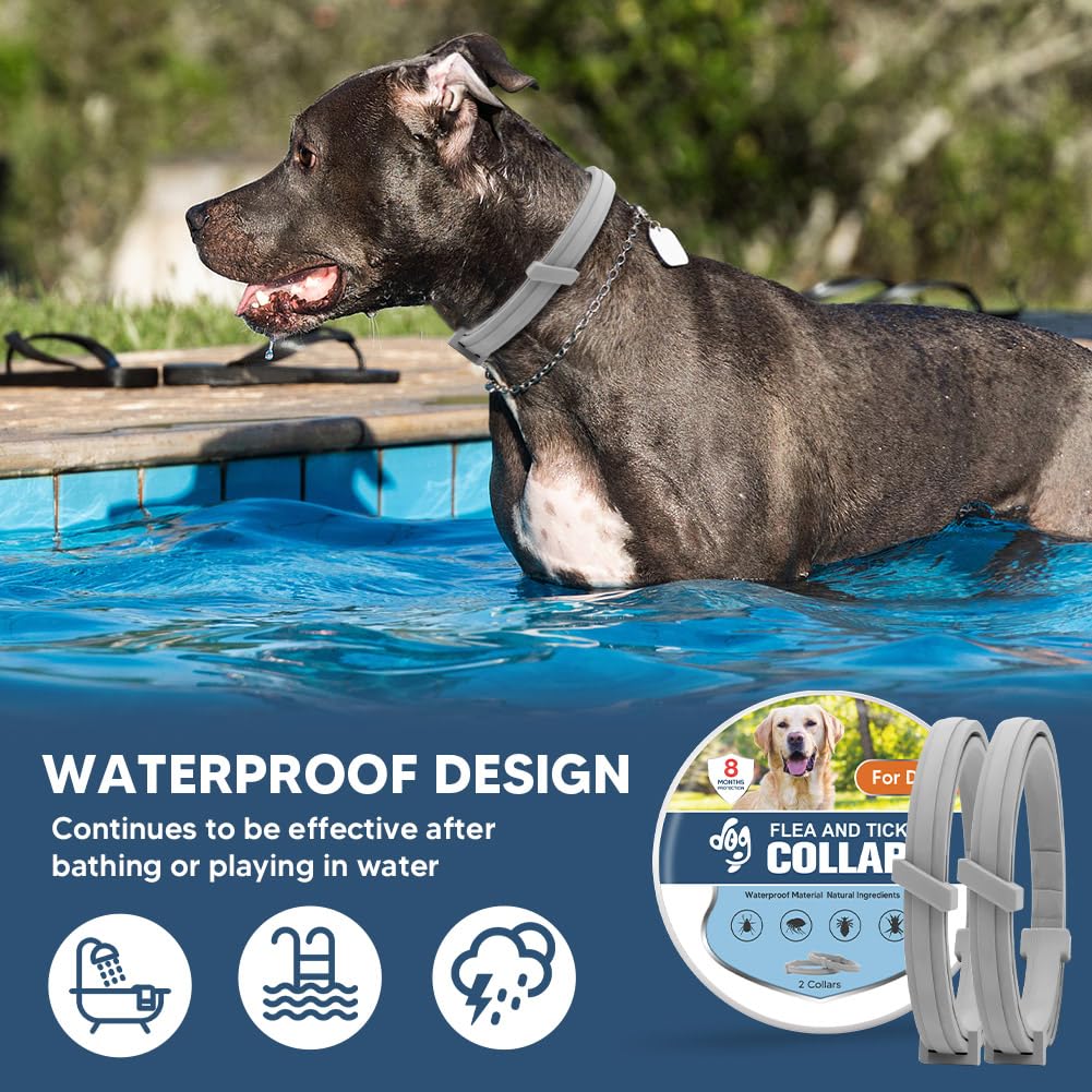 Long-lasting UDyoude collar offering months of protection.
