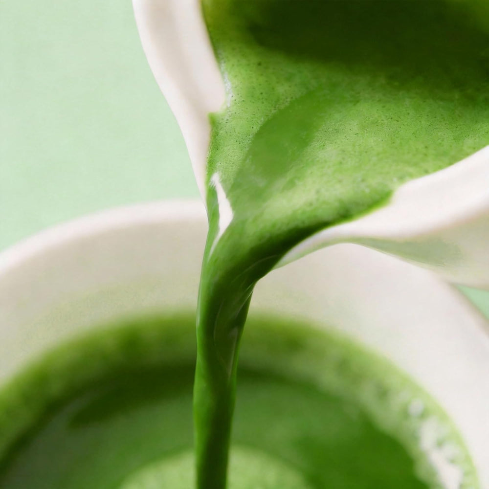UJITYA ceremonial-grade matcha jar, premium storage for long-lasting freshness