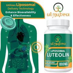 Ulmubra 800 mg luteolin bottle emphasizes liposomal delivery and enhanced absorption.