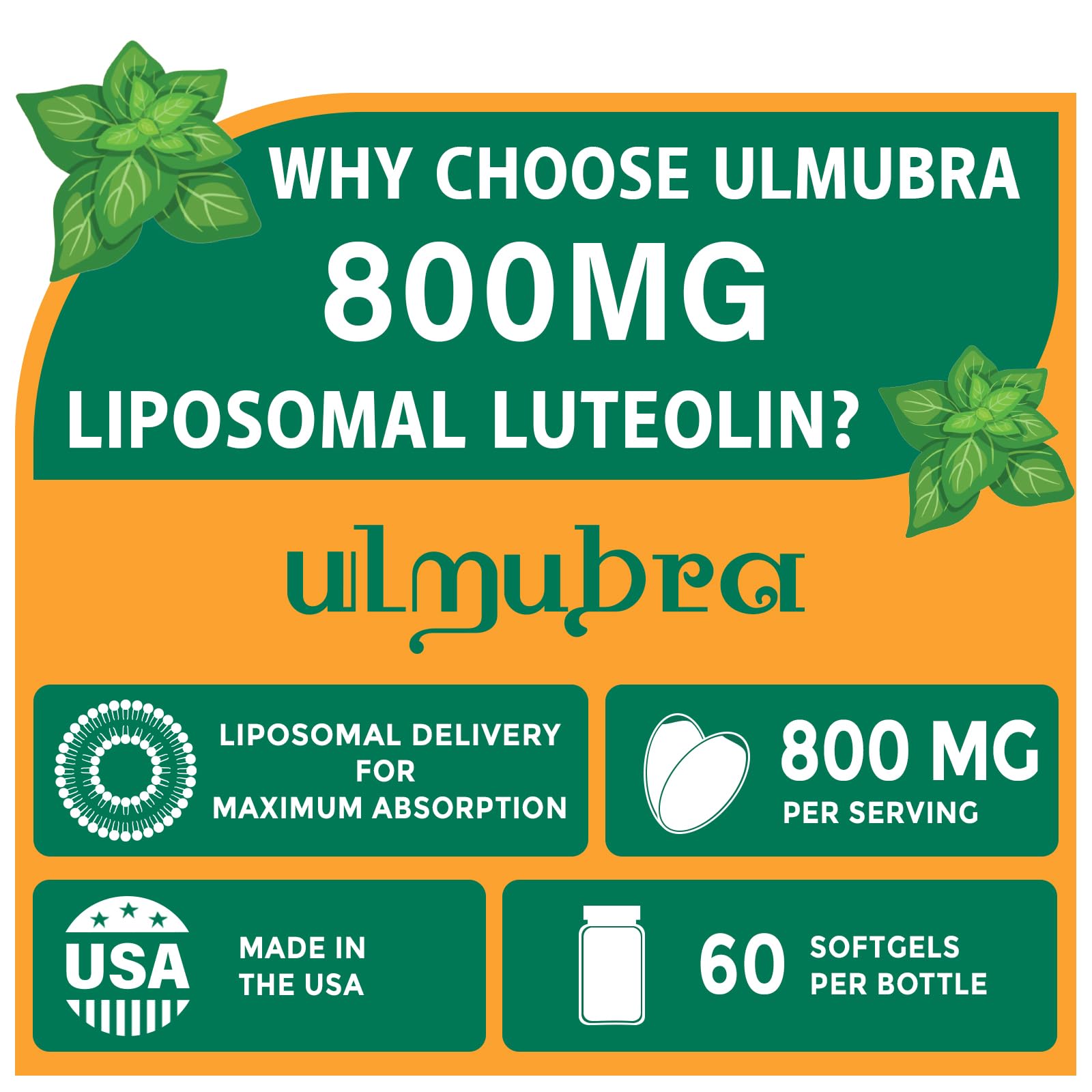Ulmubra softgels close-up highlights easy-to-swallow capsule design for everyday use.