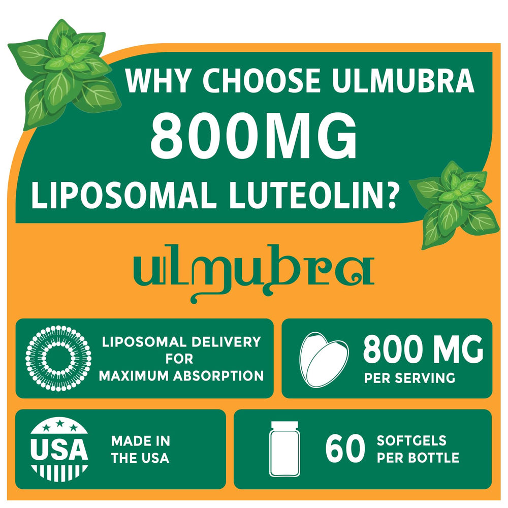 Ulmubra softgels close-up highlights easy-to-swallow capsule design for everyday use.