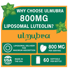 Ulmubra softgels close-up highlights easy-to-swallow capsule design for everyday use.