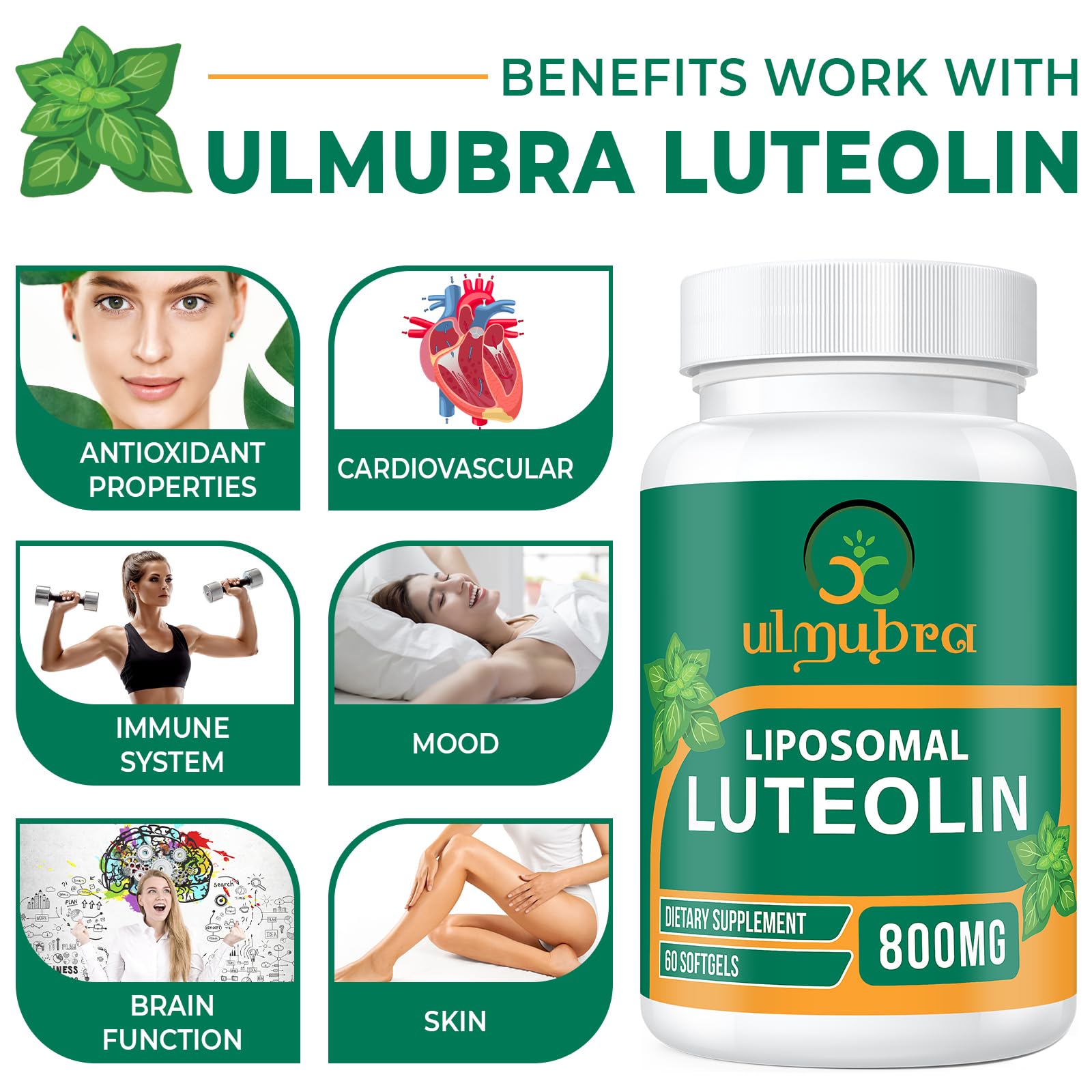 Ulmubra made-in-USA seal signals trusted production quality.