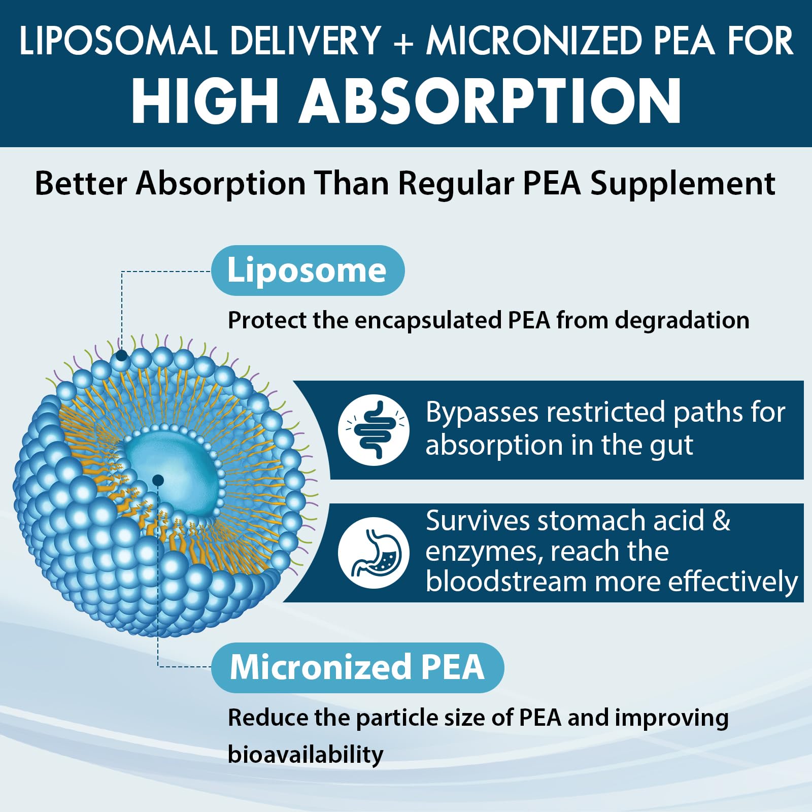 Ulmubra micronized pea particles for faster absorption and potential relief.