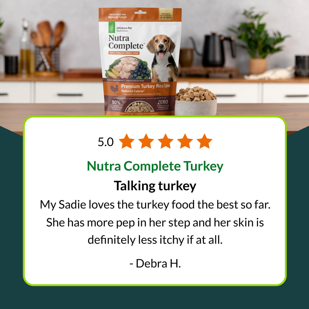 Ultimate Pet Nutrition Nutra Complete adult dog feeding scene highlights meal suitability.