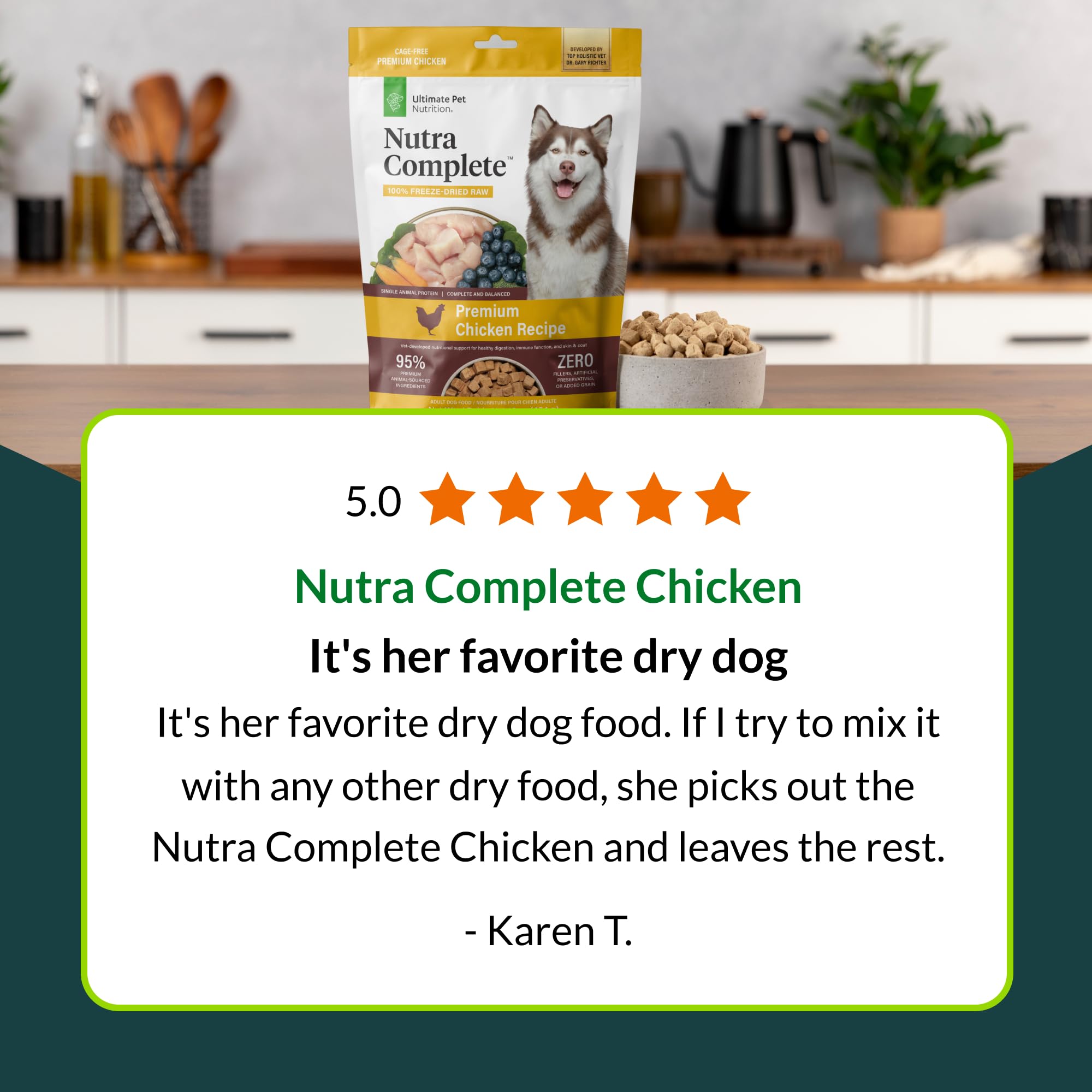 Dog enjoying Nutra Complete flavor and texture during mealtime