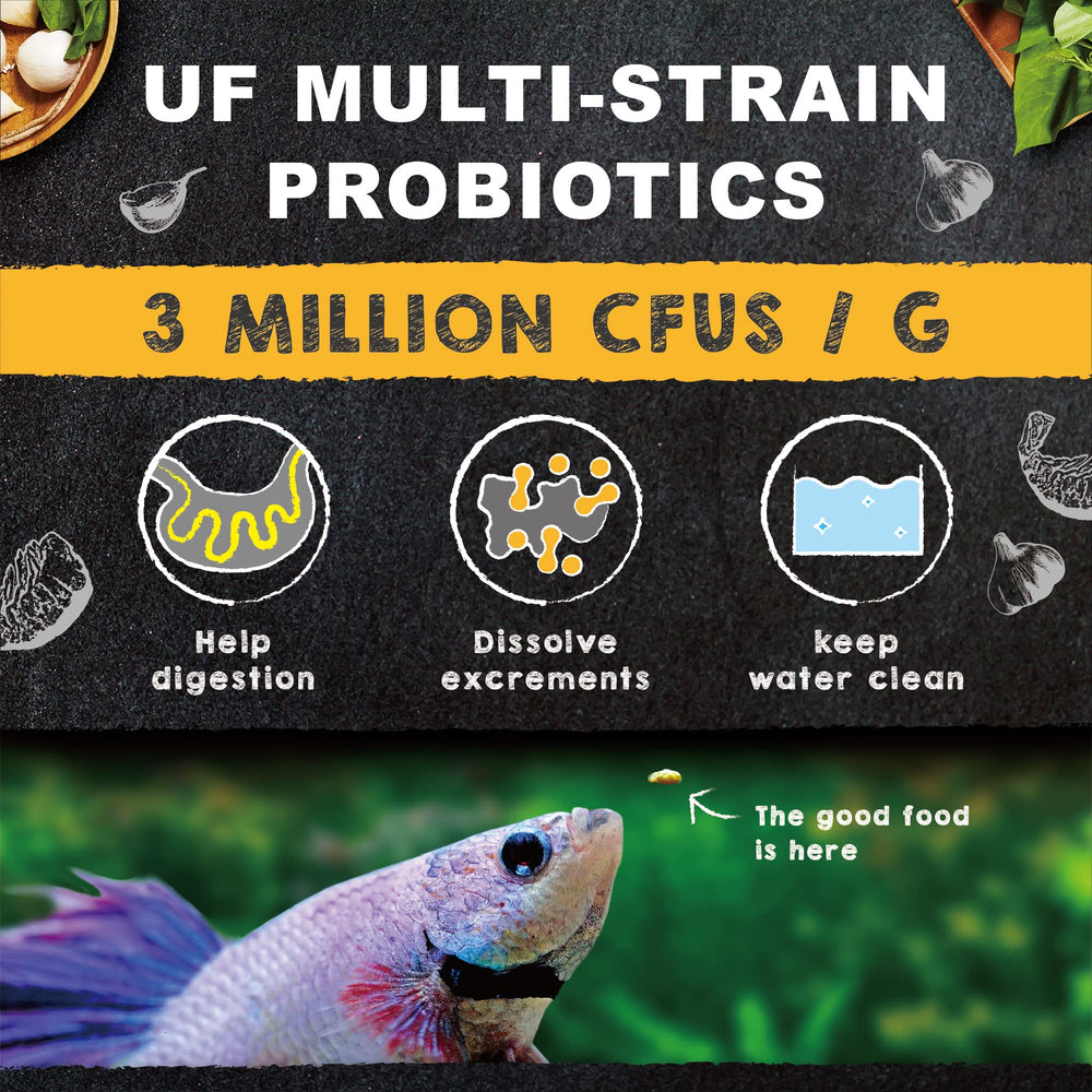 Ultra Fresh Betta color boost with vitamins close-up showing vibrant fins