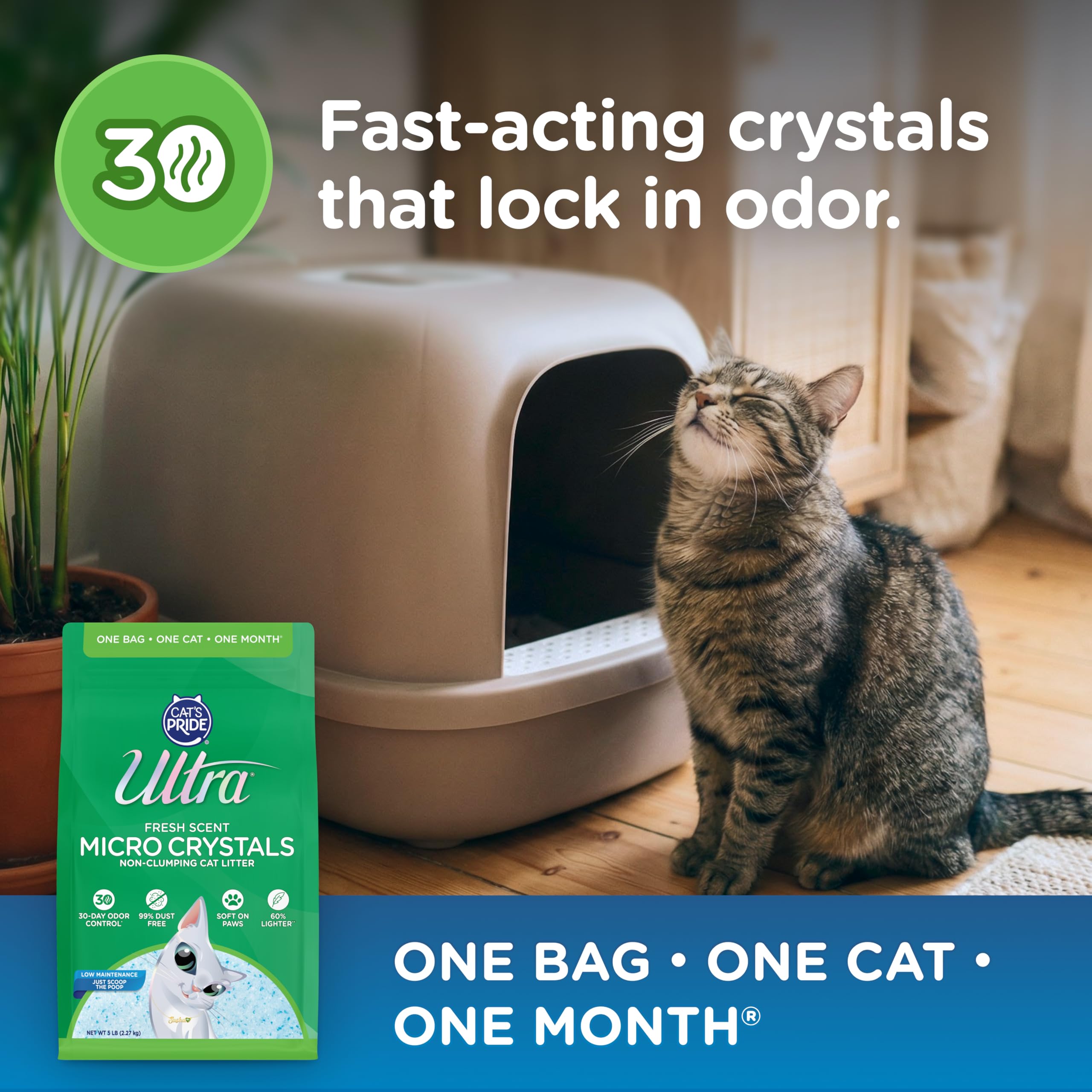 Non-toxic silica gel crystals gentle on paws.