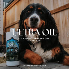 Ultra Oil omega-rich formula bottle highlights skin and coat benefits.