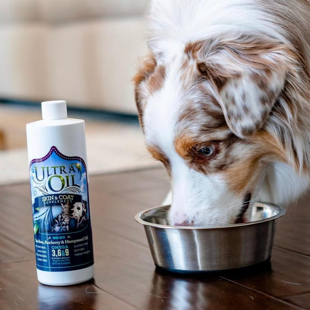 Ultra Oil image with a cat suggesting skin and coat wellness