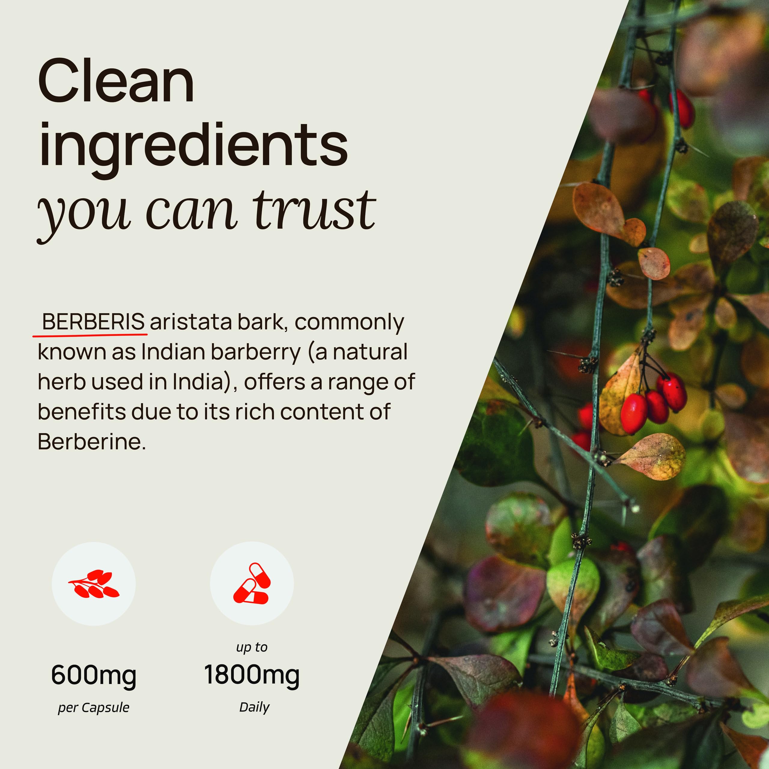 Ultra6 Berberine capsules with a glass of water for easy daily routine.