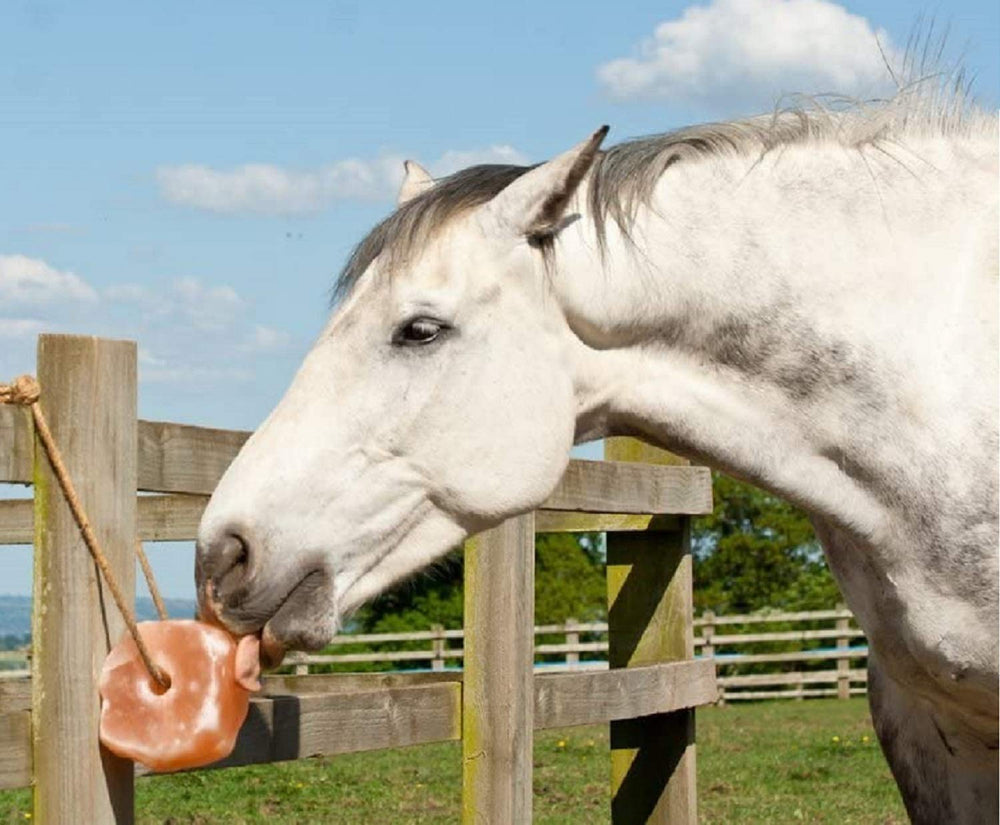 UMAID Himalayan salt lick on rope in barn setting for convenient feeding
