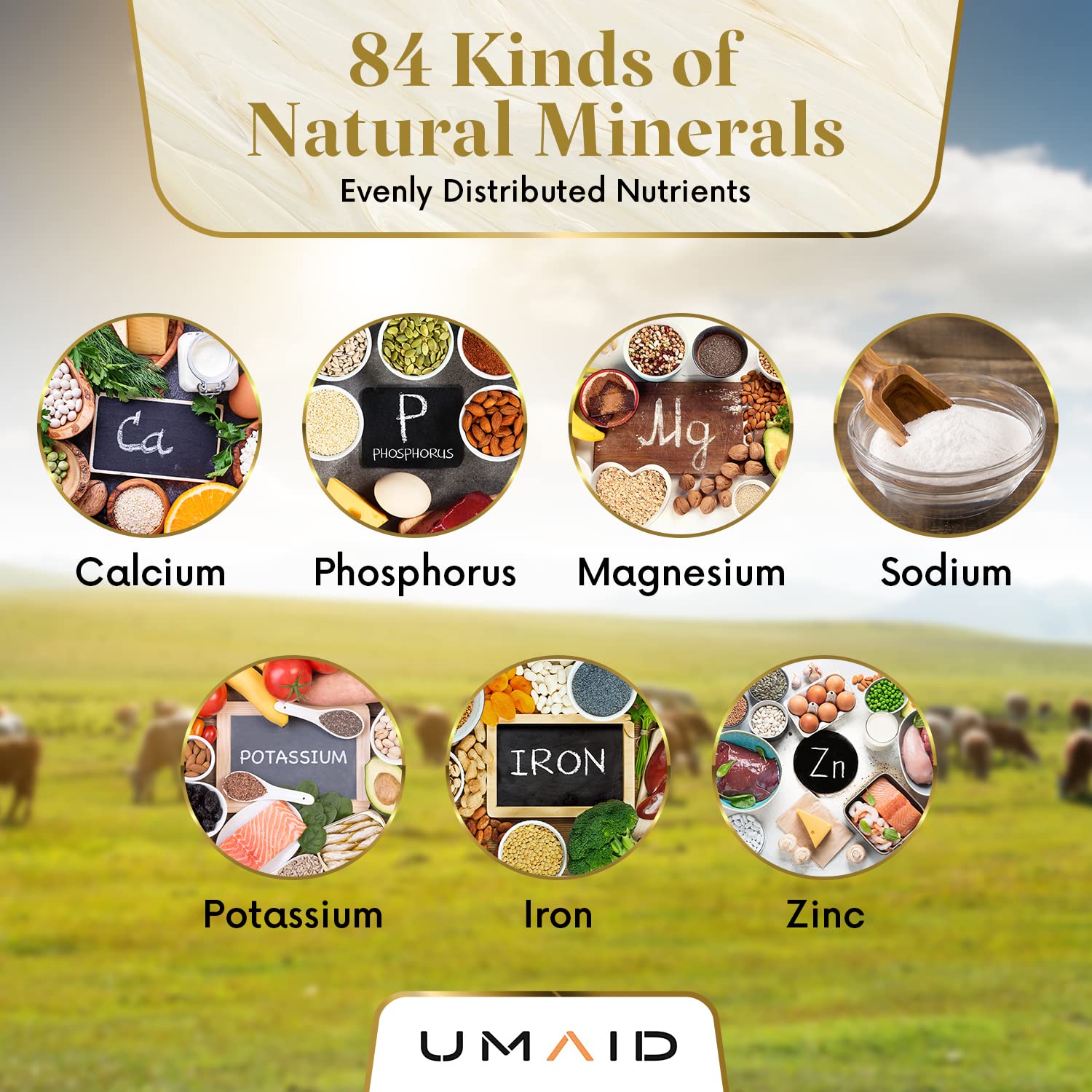 UMAID Himalayan salt lick close-up reveals rugged rope and mineral block