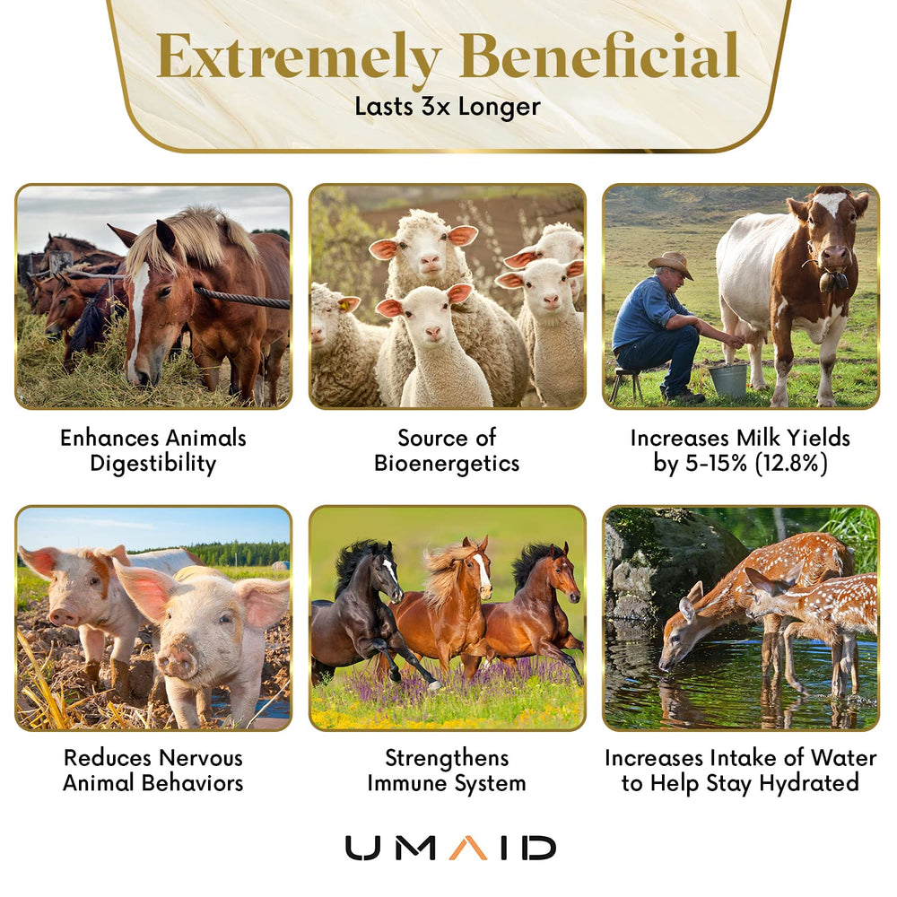 UMAID Himalayan salt lick on rope for dogs and cats satisfying natural cravings