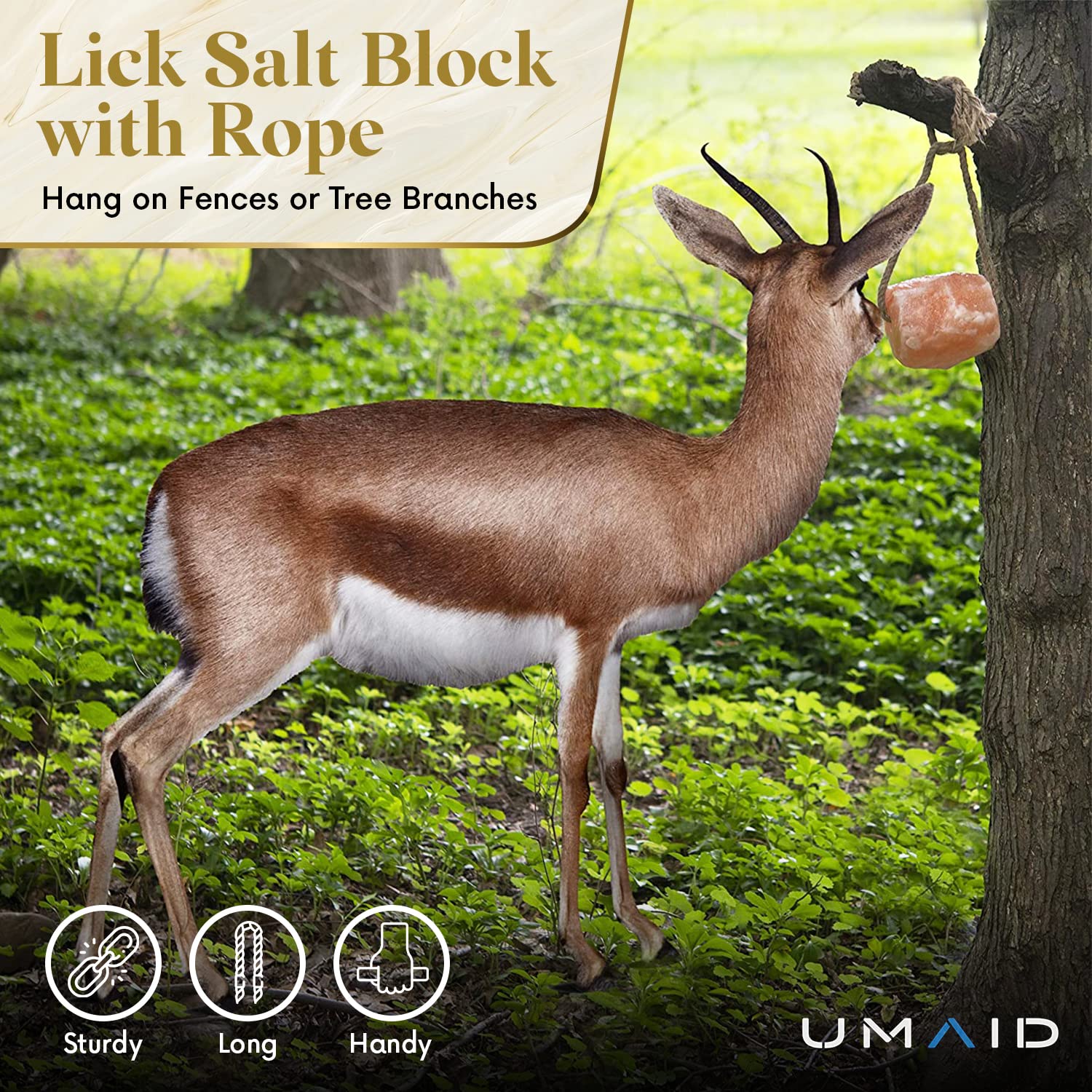 UMAID Himalayan salt lick on rope beside livestock supports wellness and engagement