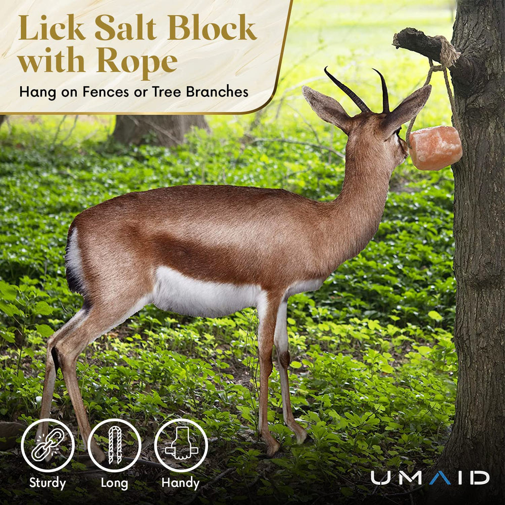 UMAID Himalayan salt lick on rope beside livestock supports wellness and engagement