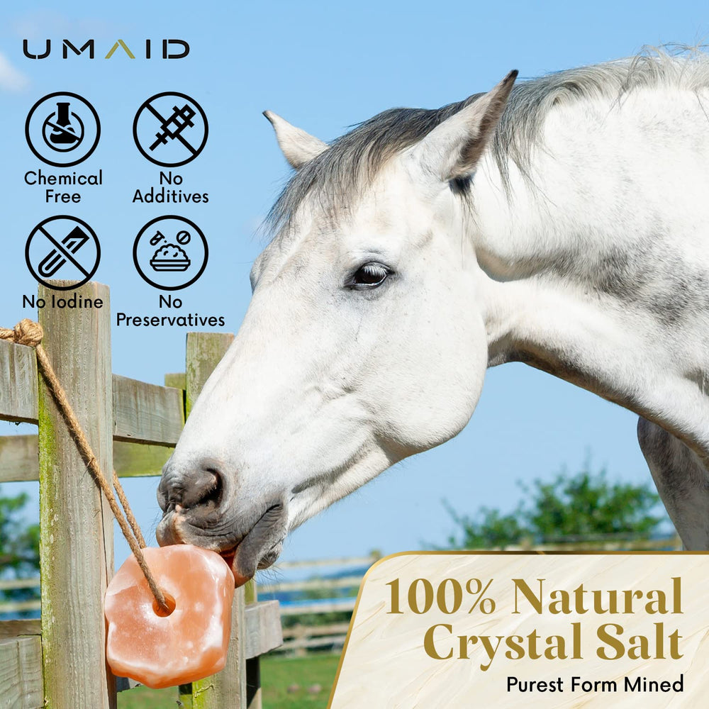 UMAID Himalayan salt lick on rope close-up shows minerals and rock texture