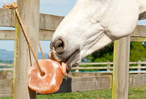 UMAID Himalayan salt lick rope for deer promotes mineral intake