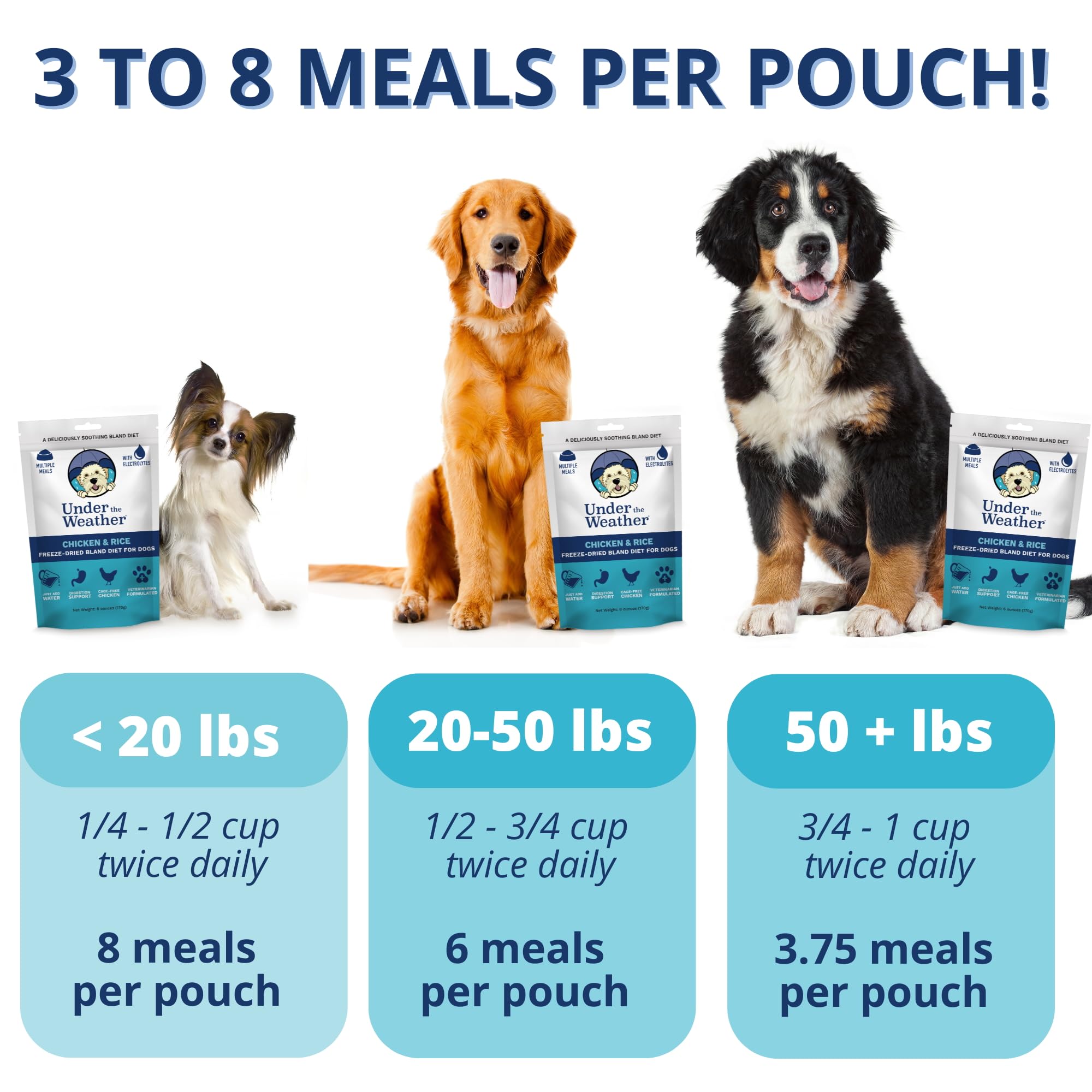 Under the Weather Bland Diet pack closeup highlighting ingredients for light, digestible meals.