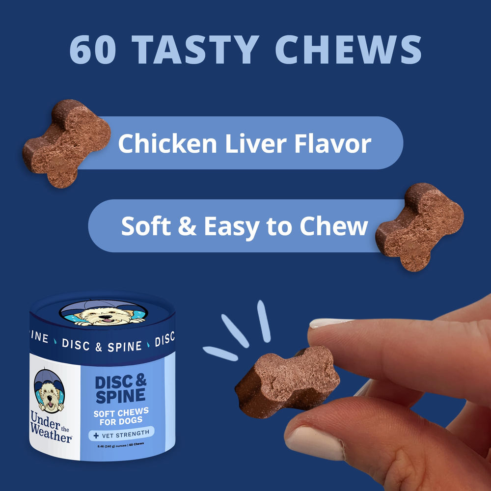 Under the Weather disc-spine-chews-chicken-flavor close-up highlights tasty, daily spine support