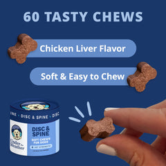 Under the Weather disc-spine-chews-chicken-flavor close-up highlights tasty, daily spine support