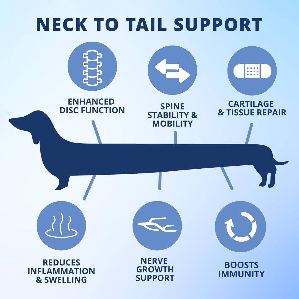 Under the Weather disc-spine-chews-ingredients-chart showcases chondroitin, MSM, turmeric in bites