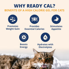 Front view of Under the Weather Ready Cal Plus Gel pack with label