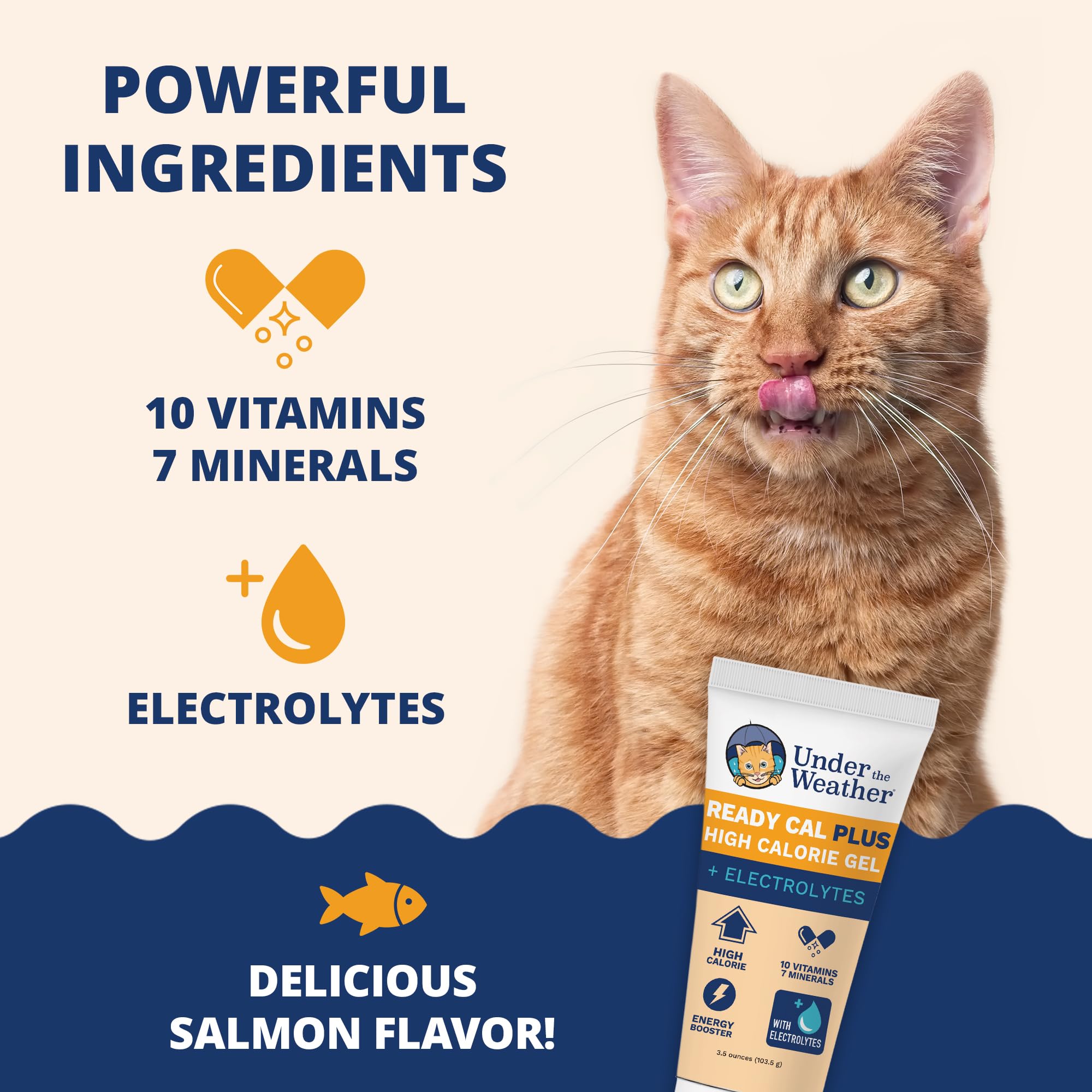 Salmon-flavored Ready Cal Plus Gel appealing to picky eaters