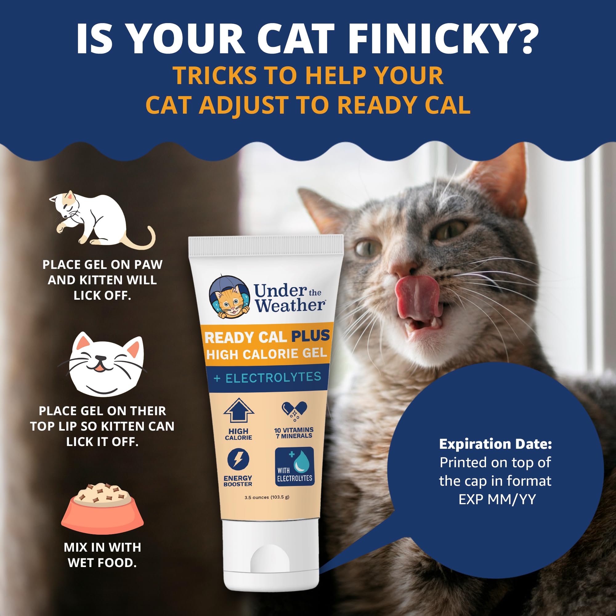 Vet-formulated Ready Cal Plus Gel for cats of all ages