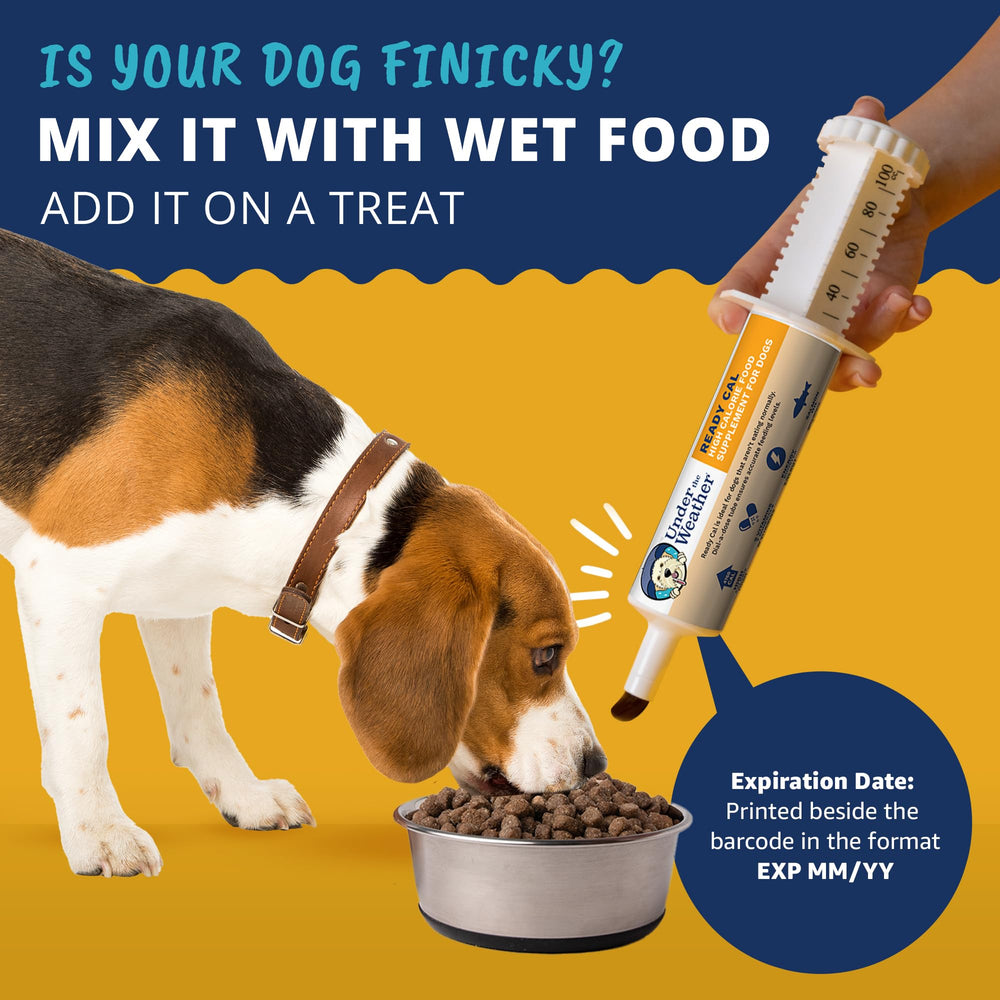 Under the Weather Ready Cal packaging emphasizes shelf life and care.