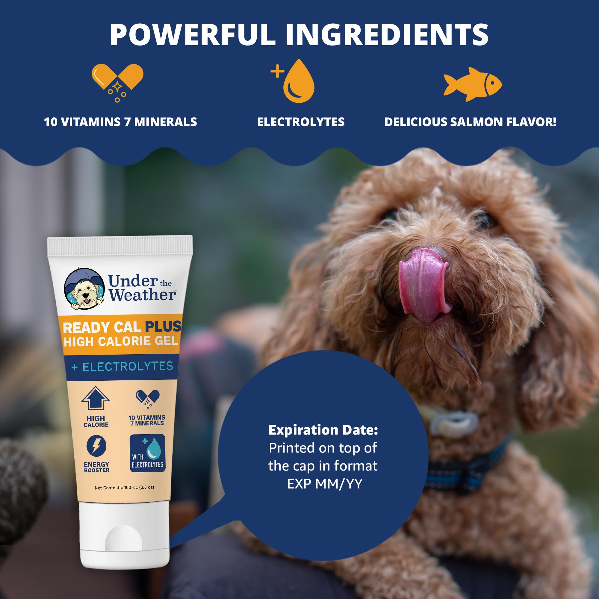Gel poured onto dog food for a meal-time energy boost.