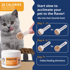 Pouring Ready Cal powder over cat food to boost calories.